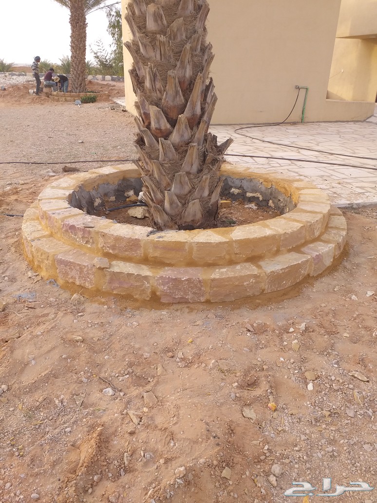 حجر ربراب تدبيش